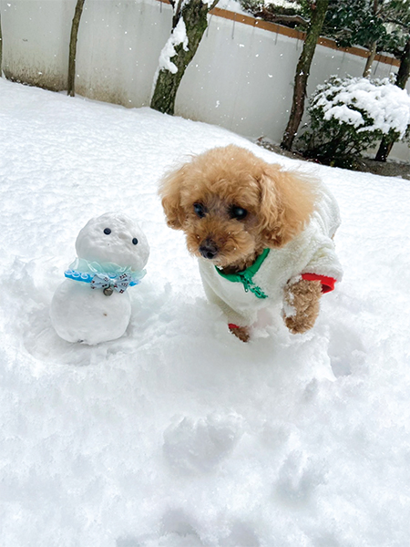 ロン