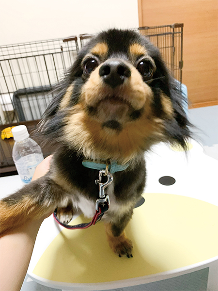 そら